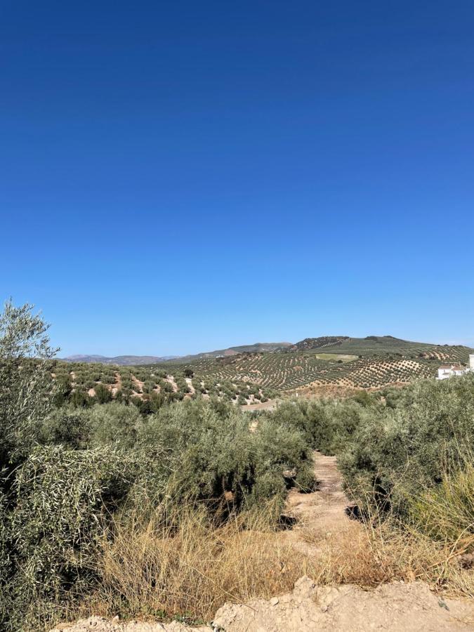 Lafrenchtouch - Relajate Y Desconecta Al Pueblo Villa Villanueva de Tapia Kültér fotó